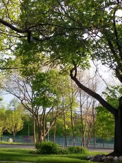 Woodlawn Park - Flint, MI