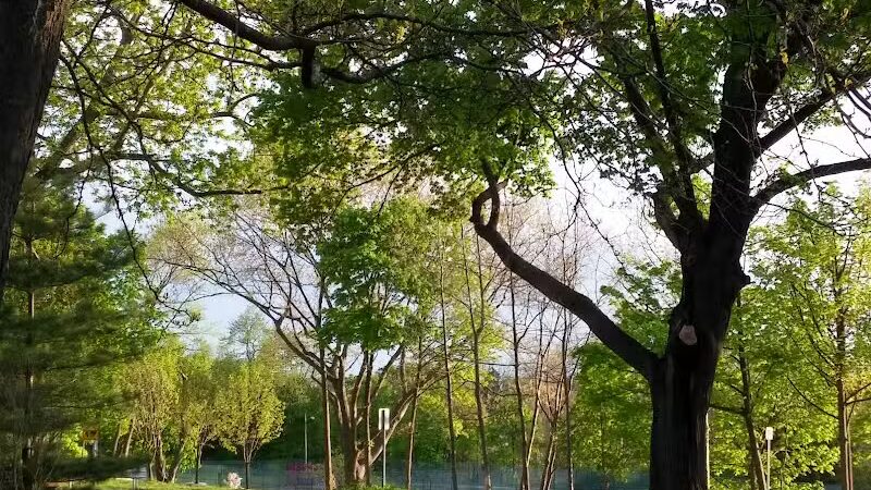 Woodlawn Park - Flint, MI