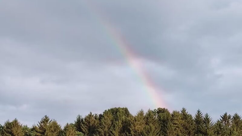 Rocky Gap State Park - Flintstone, MD