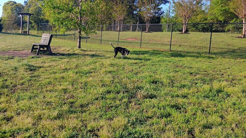 Mulberry Creek Dog Park - Flowery Branch, GA
