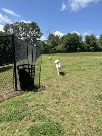 Mulberry Creek Dog Park - Flowery Branch, GA