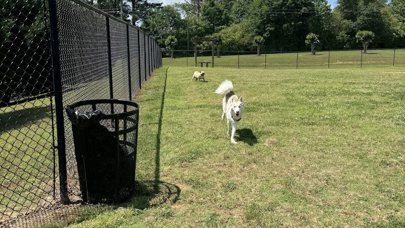 Mulberry Creek Dog Park - Flowery Branch, GA