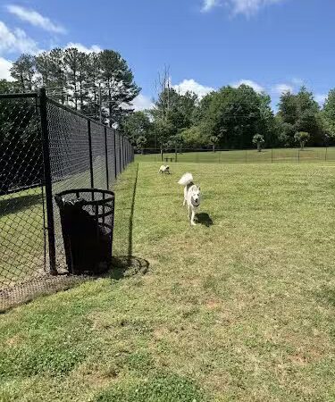 Mulberry Creek Dog Park - Flowery Branch, GA