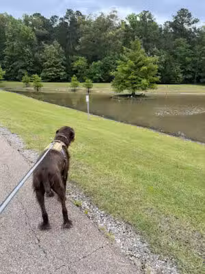 Flowood Nature Park - Flowood, MS