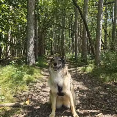 Flushing County Park - Flushing, MI