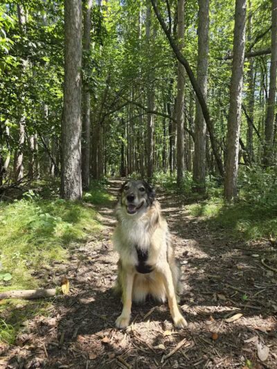 Flushing County Park - Flushing, MI