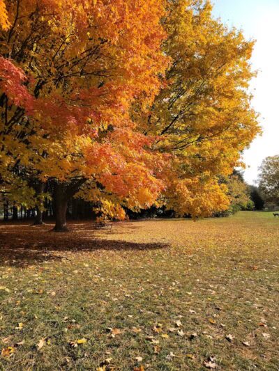 Flushing County Park - Flushing, MI