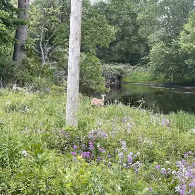 Flushing County Park - Flushing, MI