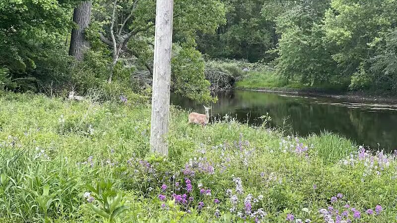 Flushing County Park - Flushing, MI