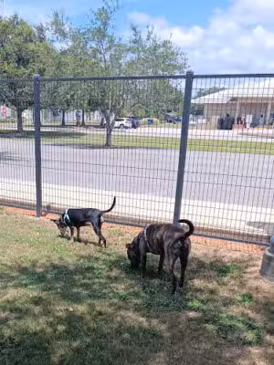 Foley Dog Park - Foley, AL