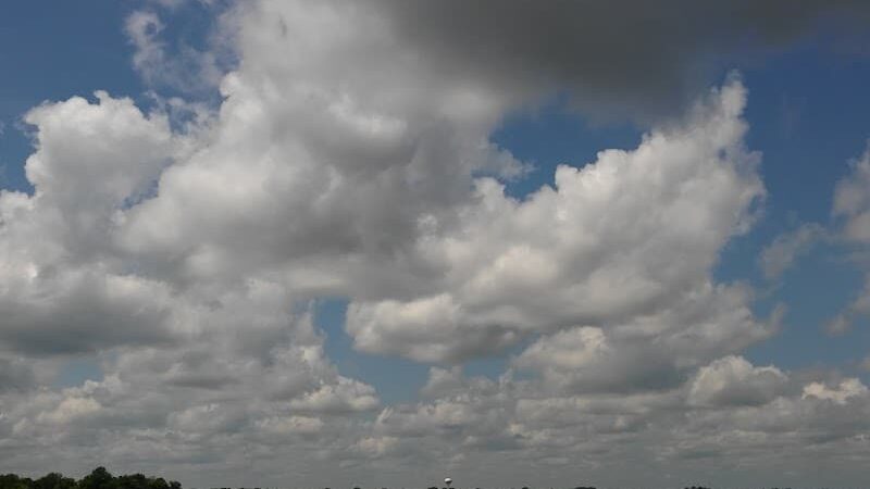 Bay Park - Forest Lake, MN