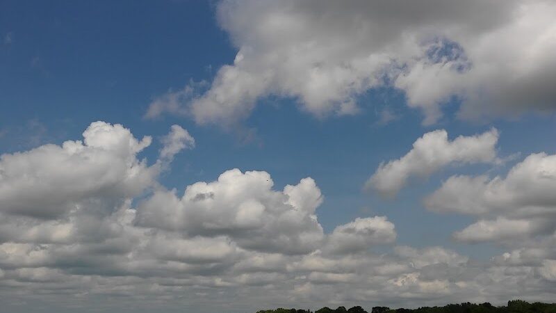 Bay Park - Forest Lake, MN
