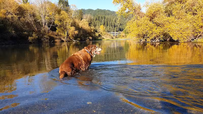 Sunset Beach River Park - Forestville, CA
