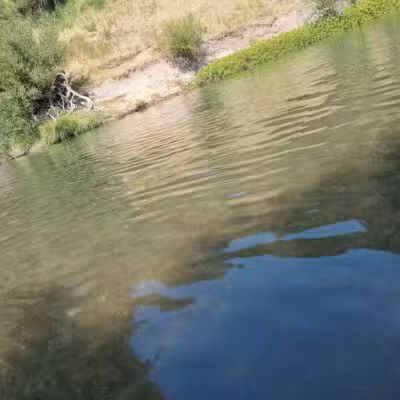 Sunset Beach River Park - Forestville, CA