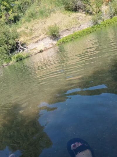 Sunset Beach River Park - Forestville, CA