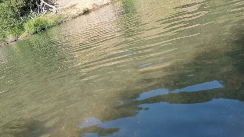 Sunset Beach River Park - Forestville, CA