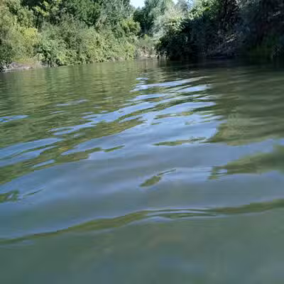 Sunset Beach River Park - Forestville, CA