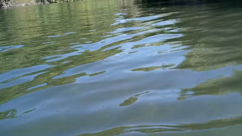 Sunset Beach River Park - Forestville, CA