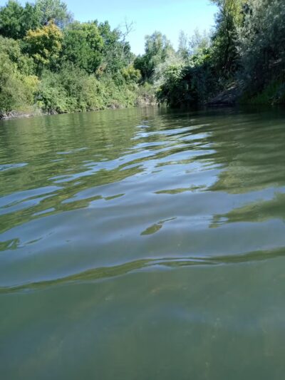 Sunset Beach River Park - Forestville, CA