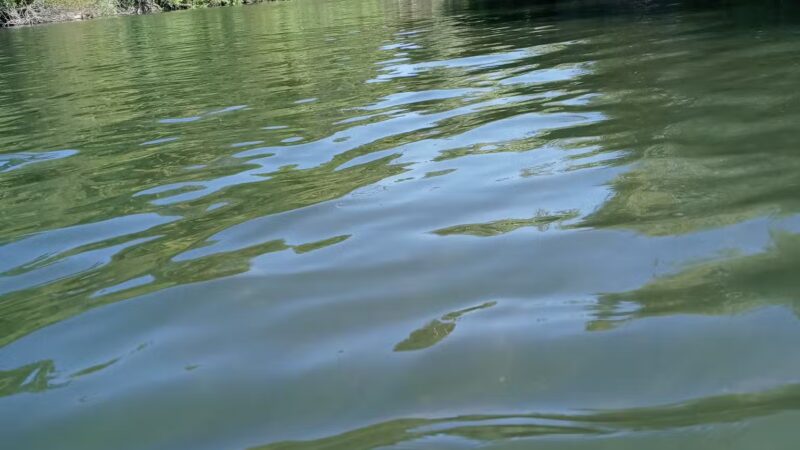 Sunset Beach River Park - Forestville, CA