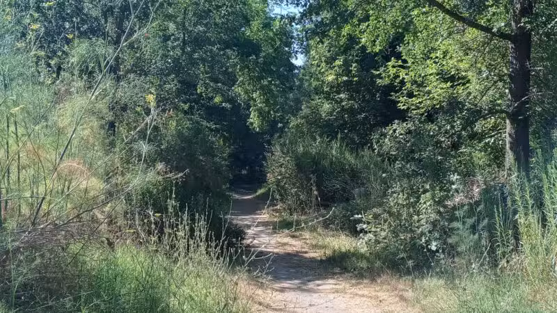 Sunset Beach River Park - Forestville, CA