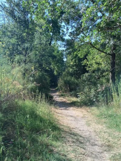 Sunset Beach River Park - Forestville, CA