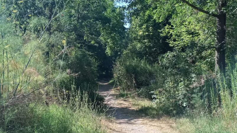 Sunset Beach River Park - Forestville, CA