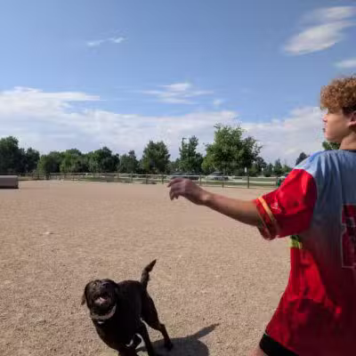 Spring Canyon Dog Park - Fort Collins, CO