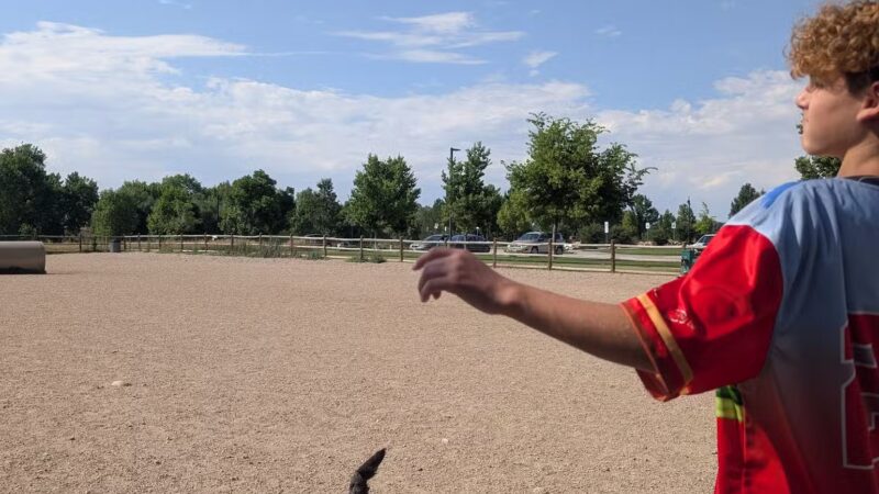 Spring Canyon Dog Park - Fort Collins, CO