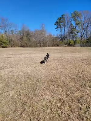 733D Force Support Squadron Dog Park - Fort Eustis, VA