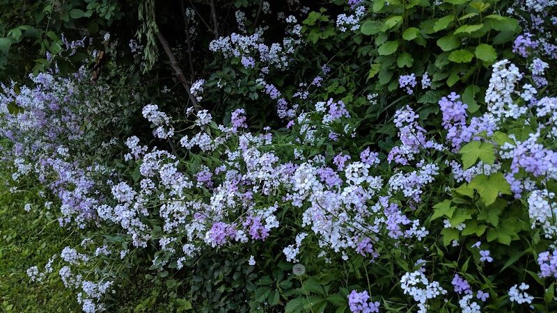 Riverside Park Pavilion - Fort Fairfield, ME