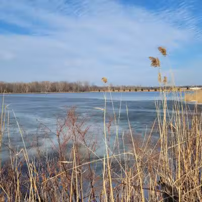 Fort Gratiot Canine Commons - Fort Gratiot Township, MI