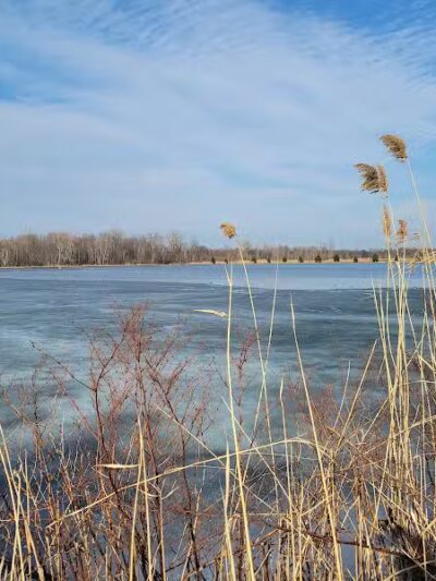 Fort Gratiot Canine Commons - Fort Gratiot Township, MI