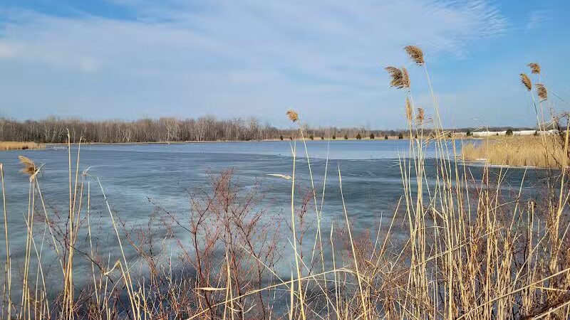 Fort Gratiot Canine Commons - Fort Gratiot Township, MI