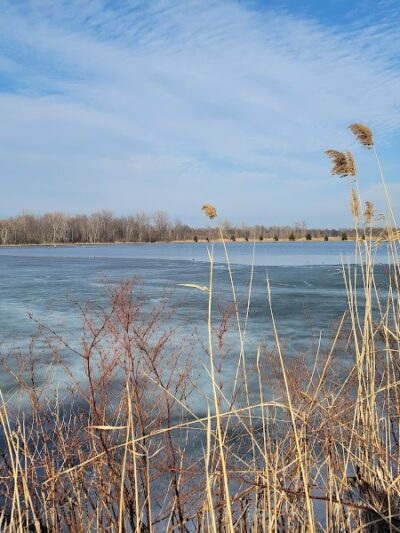 Fort Gratiot Canine Commons - Fort Gratiot Township, MI