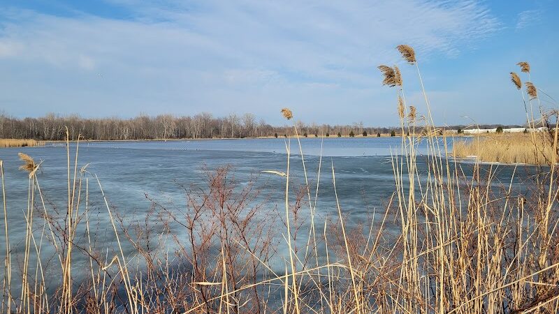 Fort Gratiot Canine Commons - Fort Gratiot Township, MI