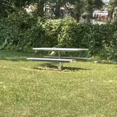 North River Road Park - Fort Gratiot Township,