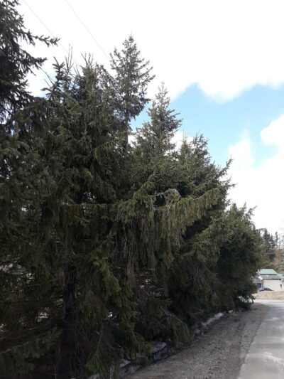 Fort Kent - Fort Kent, ME