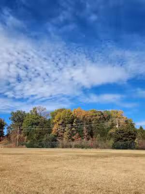 Fort Knox Dog Park - Fort Knox, KY