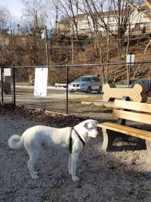 Fort Lee Dog Park - Fort Lee, NJ