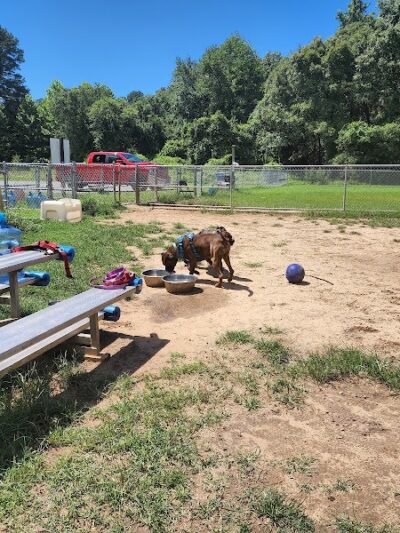 Fort Meade Dog Park - Fort Meade, MD