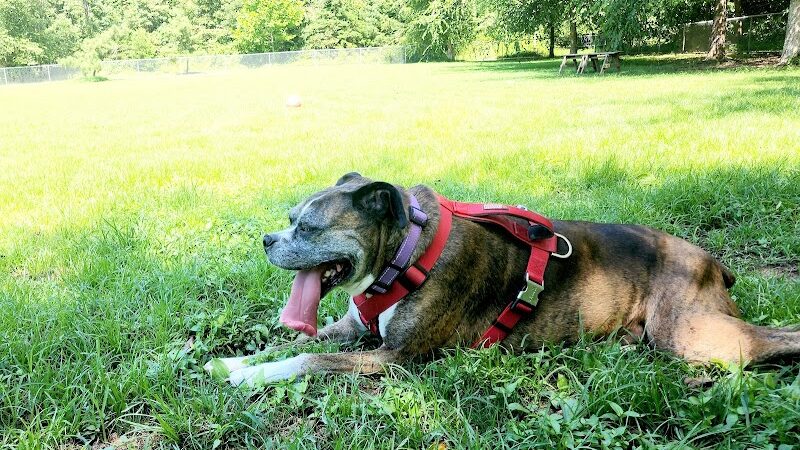 Fort Meade Dog Park - Fort Meade, MD