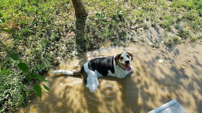 Fort Meade Dog Park - Fort Meade, MD