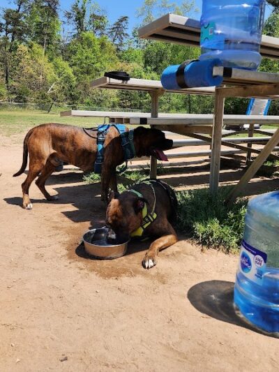 Fort Meade Dog Park - Fort Meade, MD