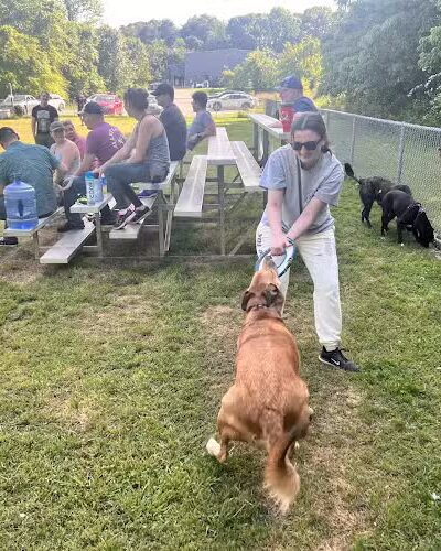 Fort Meade Dog Park - Fort Meade, MD