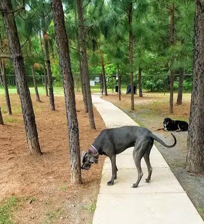 Mary Warner Mack Dog Park (private) - Fort Mill, SC