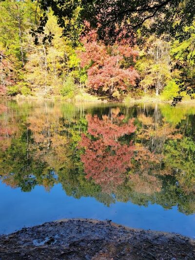 Mary Warner Mack Dog Park (private) - Fort Mill, SC