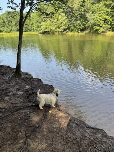 Mary Warner Mack Dog Park (private) - Fort Mill, SC
