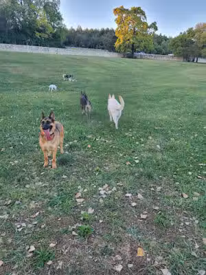 Dog park - Fort Riley, KS