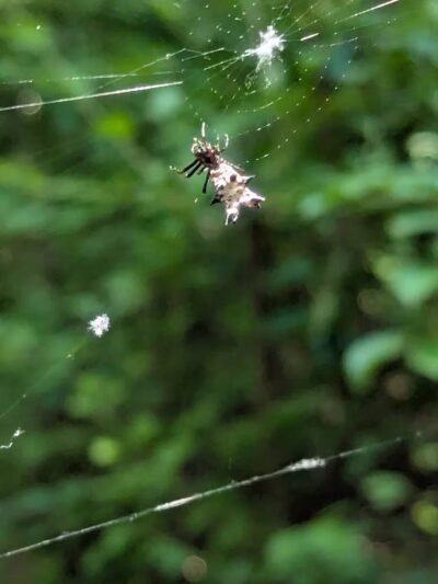 Makamah Nature Preserve - Fort Salonga, NY